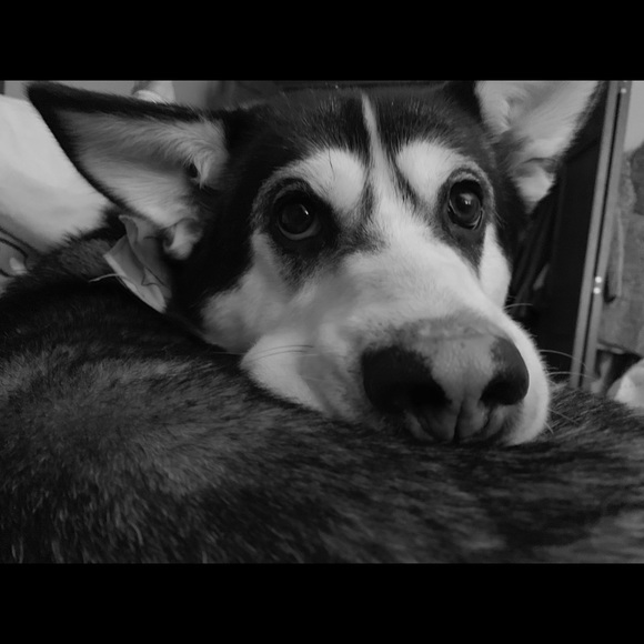 Meet your Posher, Alysa - Picture 8 of 9